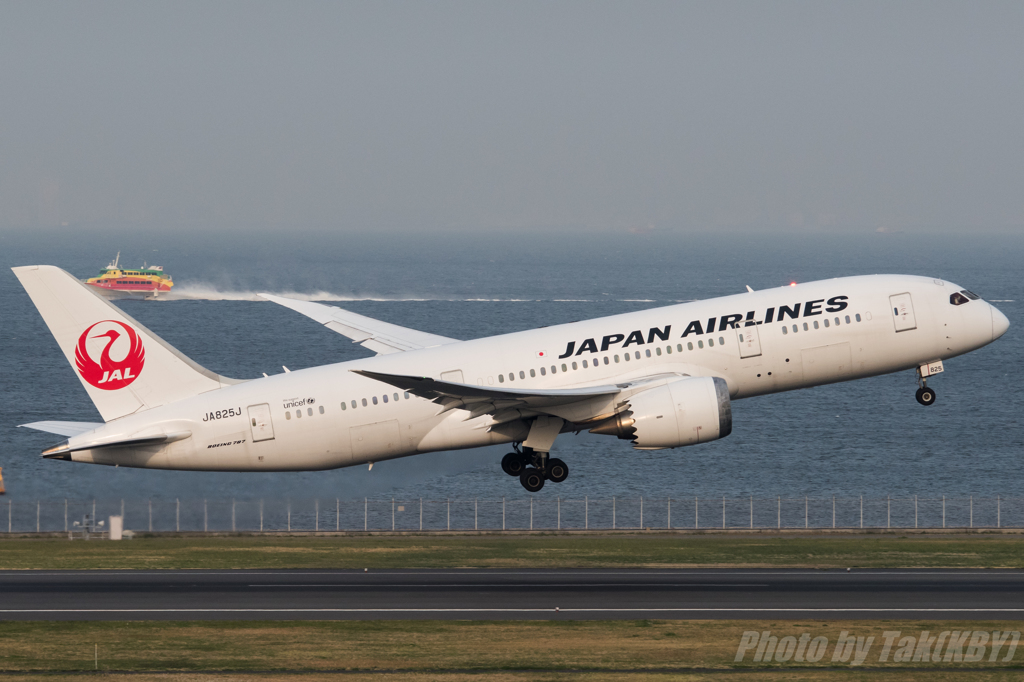 JAL 787