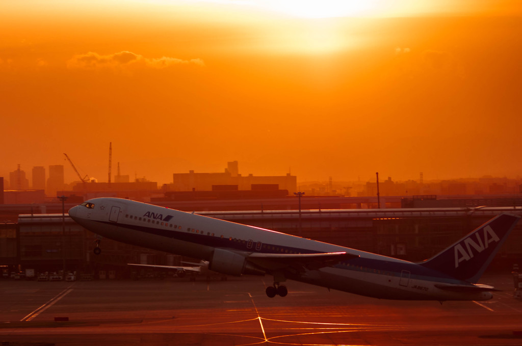 Sunset Flight