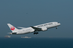 JALの787②