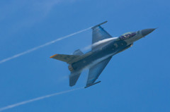 Fighting Falcon