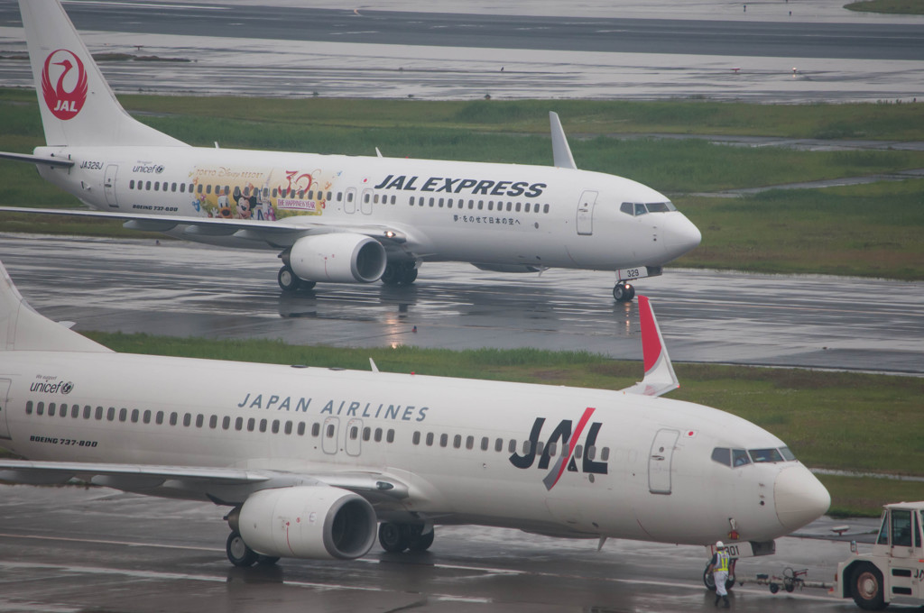 日の丸737とディズニー737