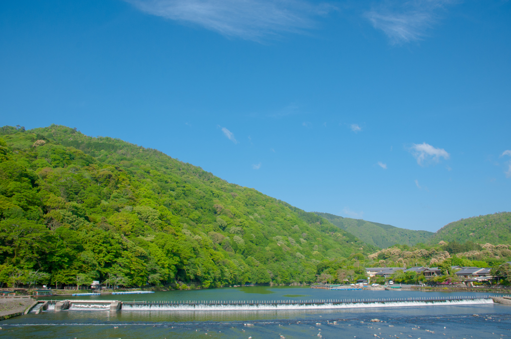 新緑の嵐山