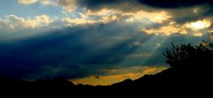 Angel's Ladder