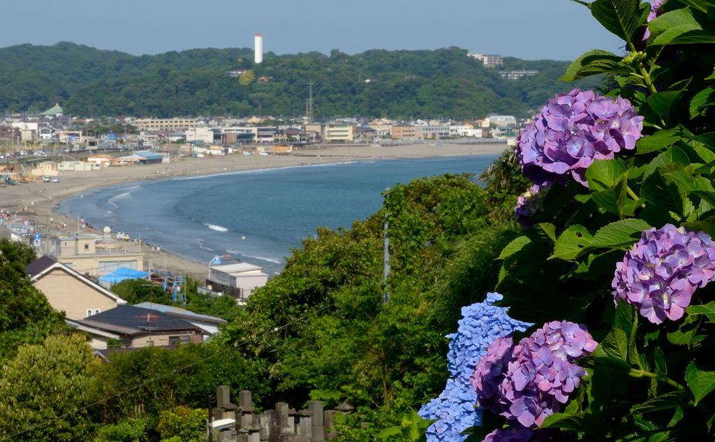 由比ヶ浜