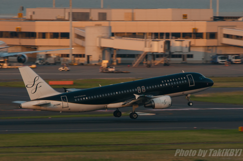 SF A320