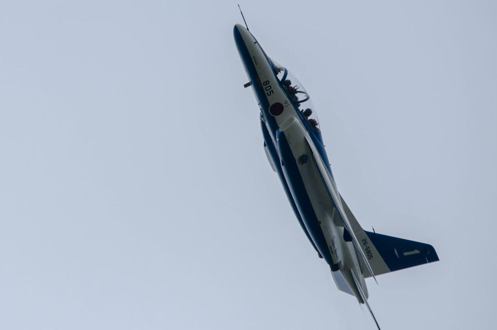 頭上をフライパス！