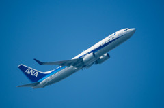 ANA 737-800