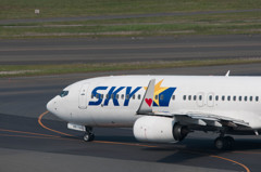 SKYMARK 737 はーと