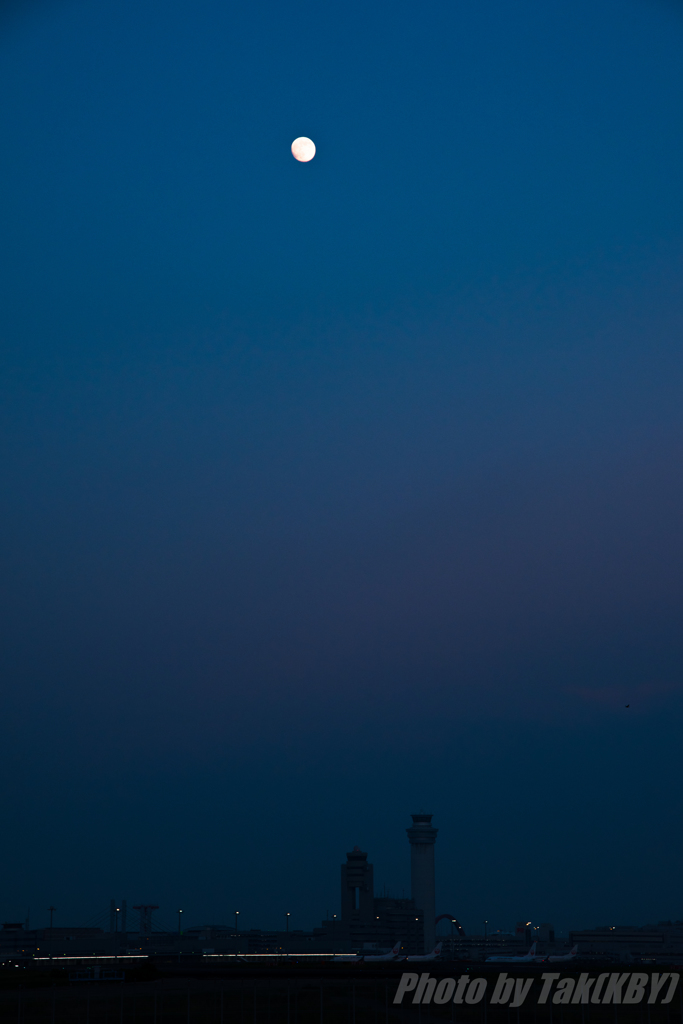 Tokyo International Airport
