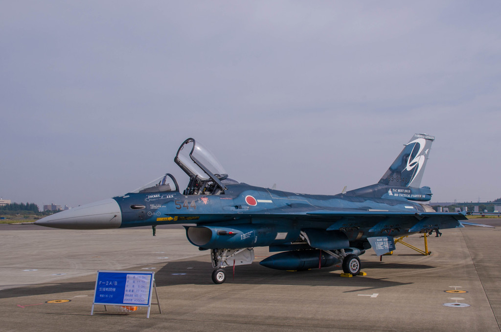 【入間航空祭2013】VIPER ZERO①