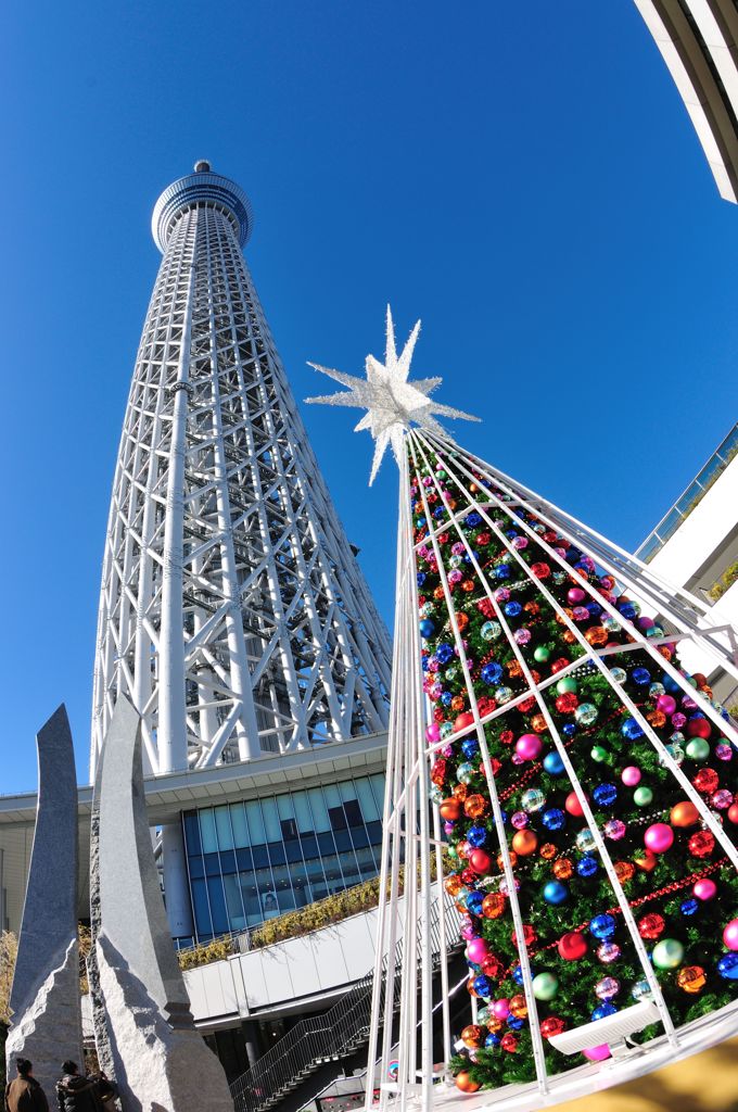 Tokyo Christmas Sky Tree
