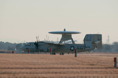 VAW-115 LIBERTY BELLS NF-601