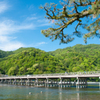 新緑の渡月橋