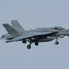 VFA-195 Dambusters