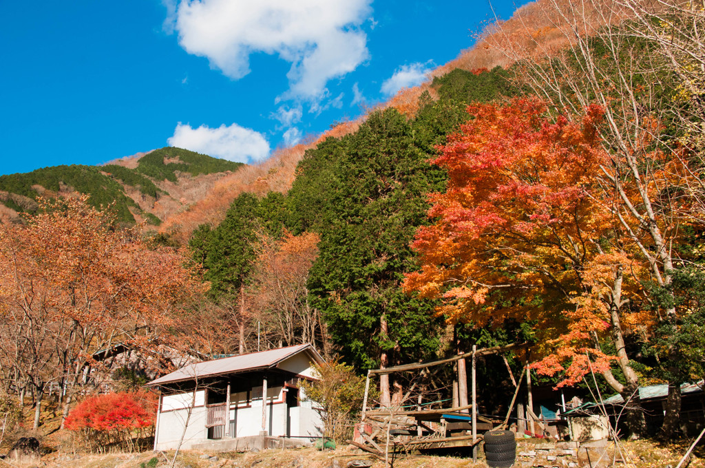 山の上は冬、ふもとは秋