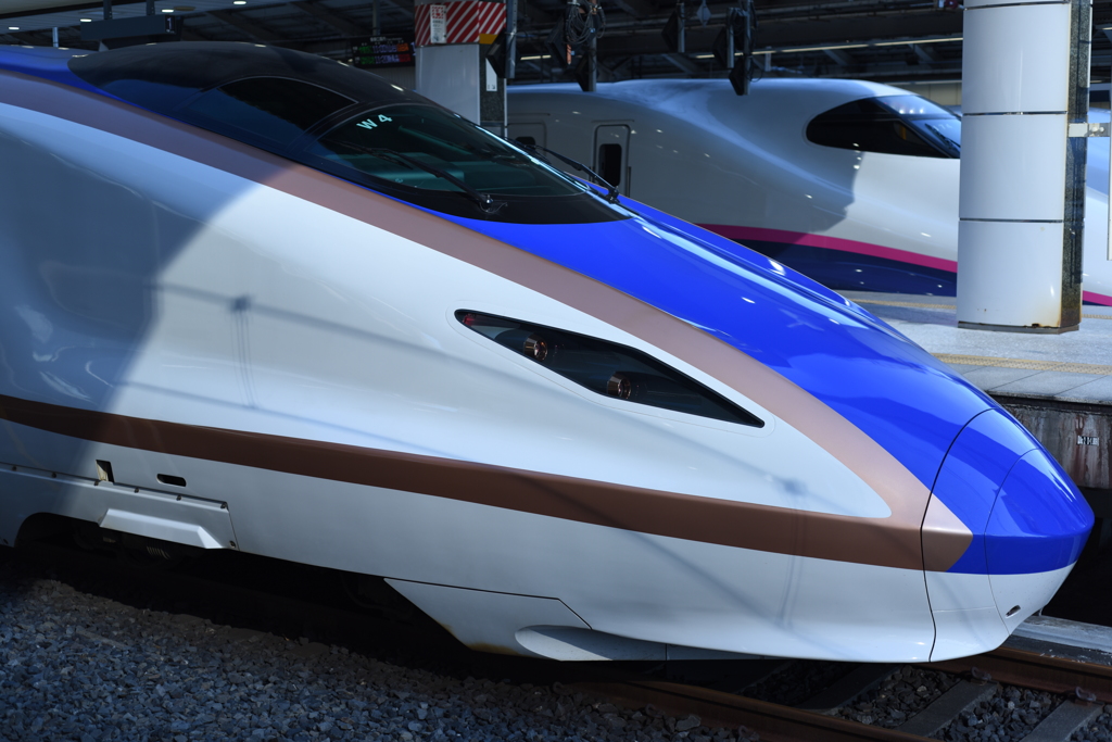 W7系はくたか