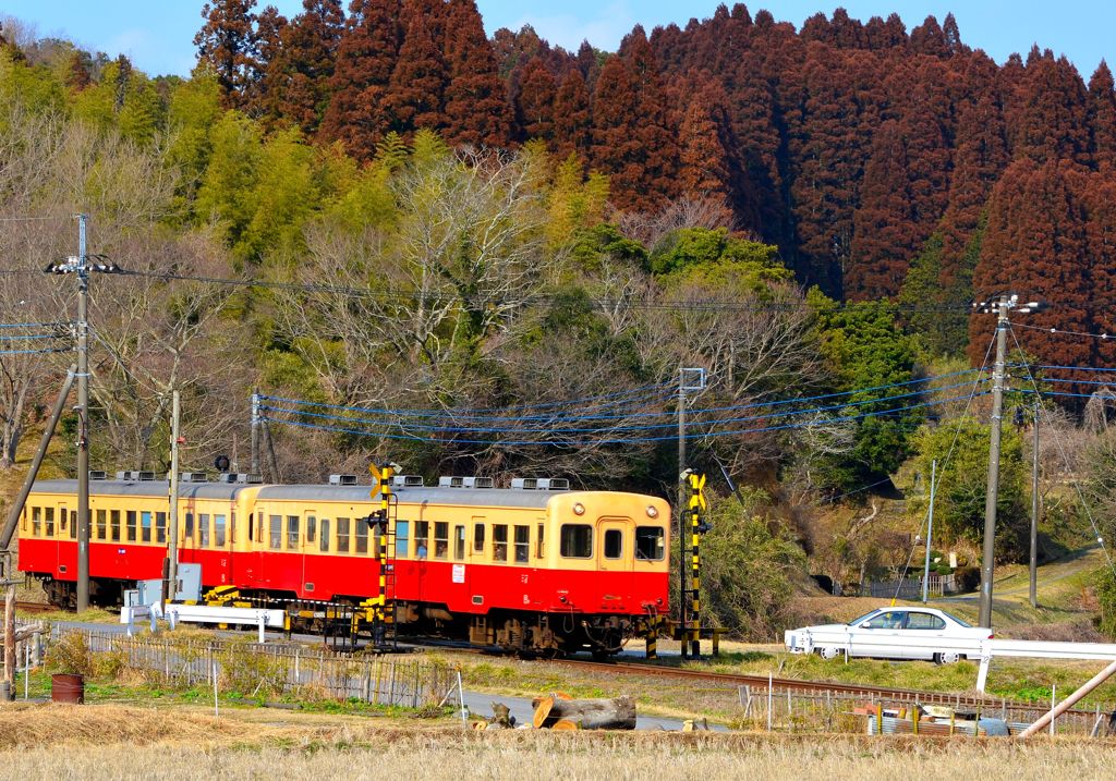 ちょいと失礼しますよ