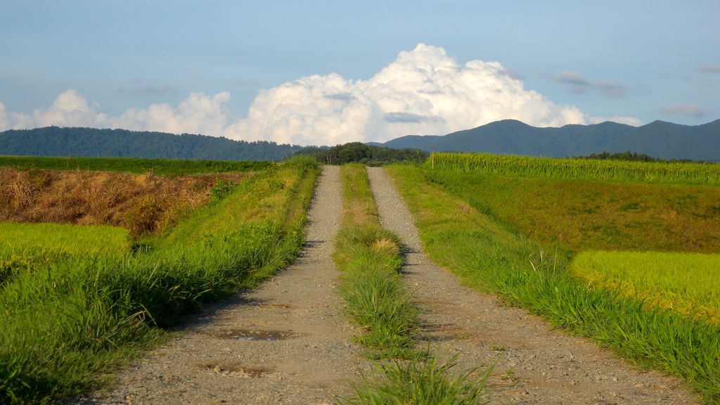 農道と夏雲