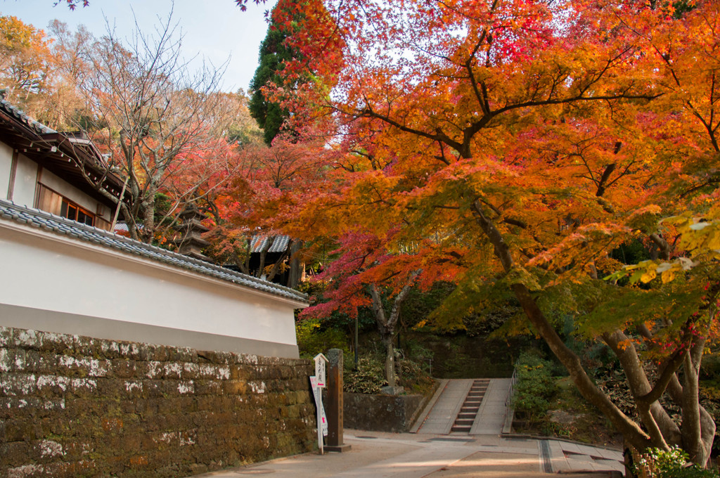 円覚寺～其の七