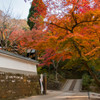 円覚寺～其の七