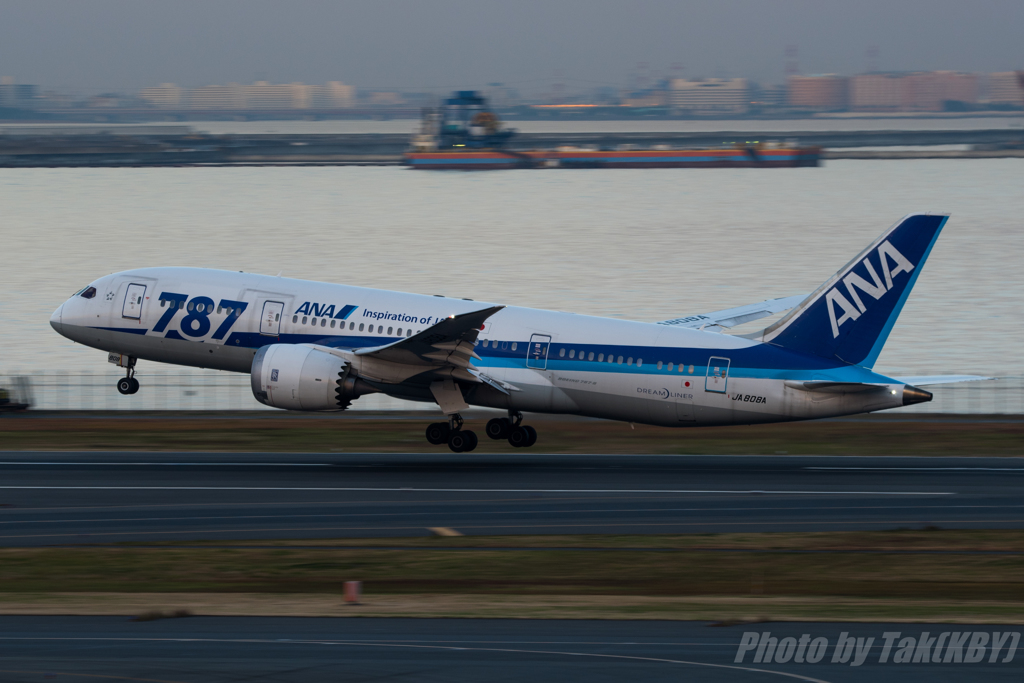 Dreamliner Airborne