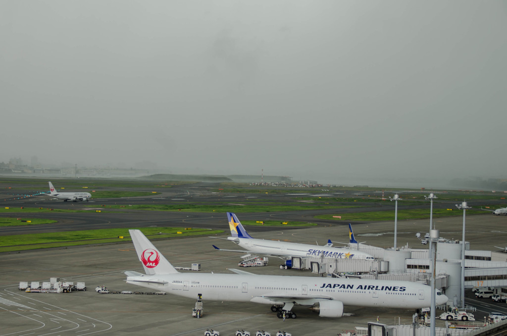 雨のカーテン