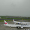 雨のカーテン