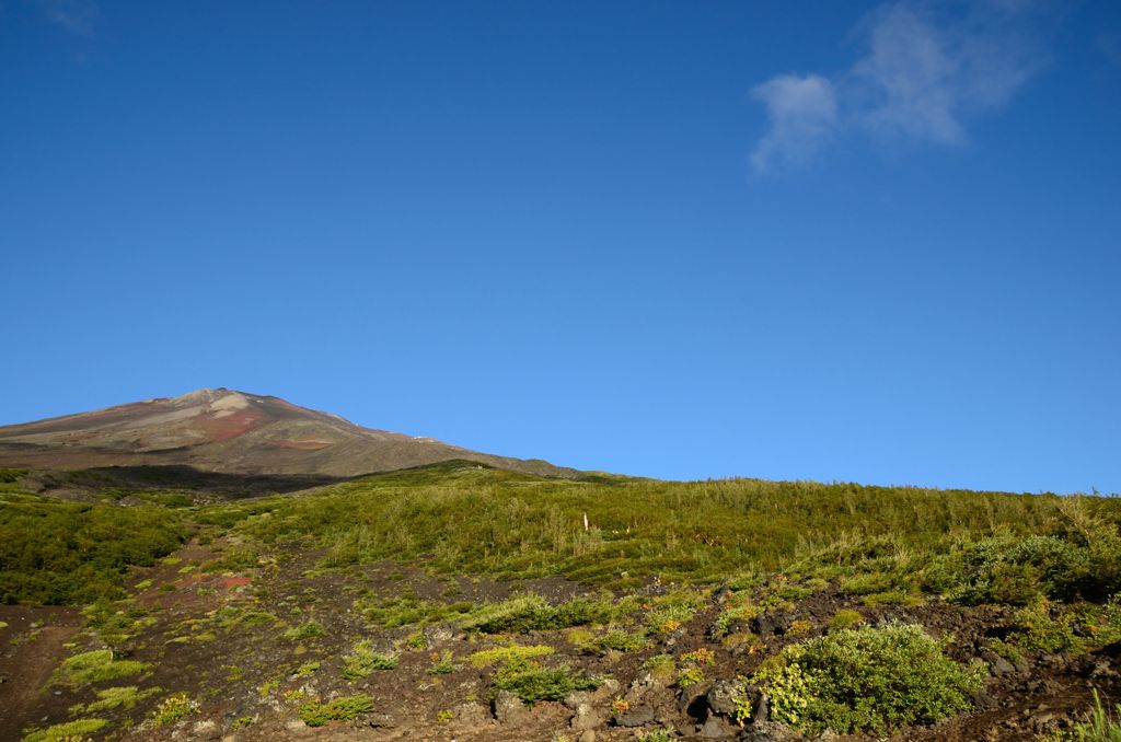 最高峰までの概算