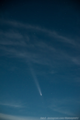 紫金山・アトラス彗星