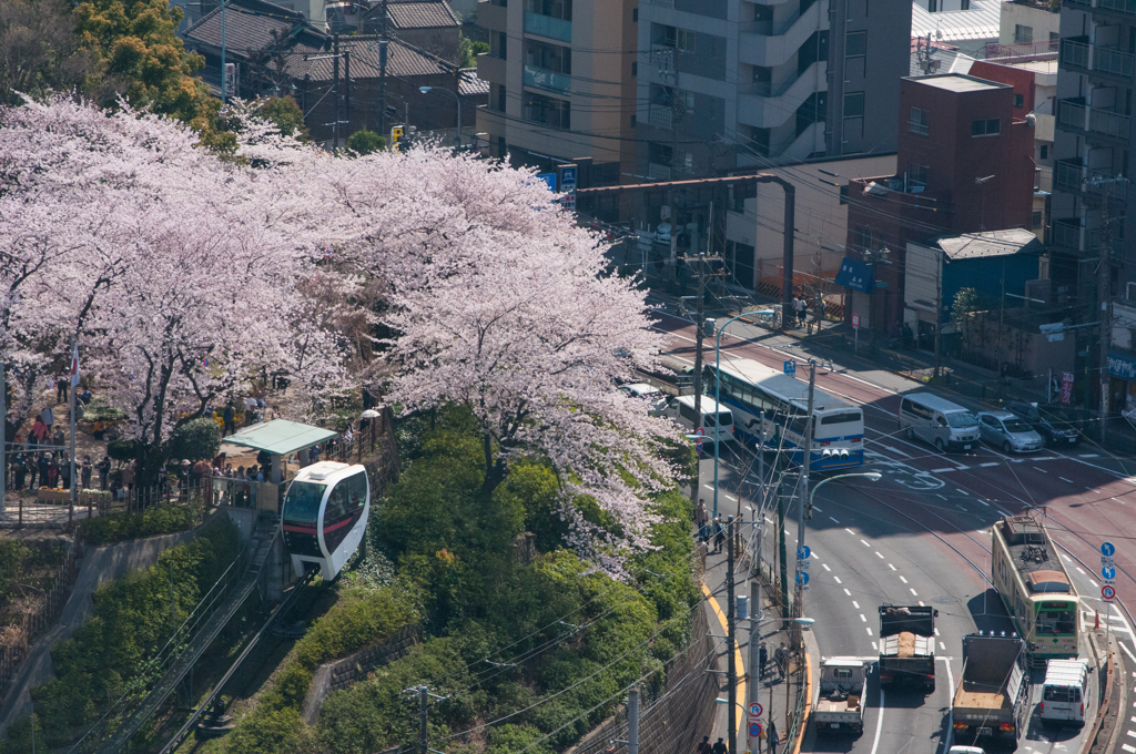 アスカルゴと都電荒川線