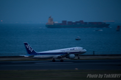 ANA Airbus A320