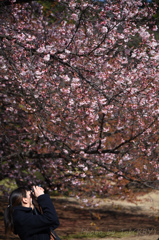 桜の下のカメラ女子