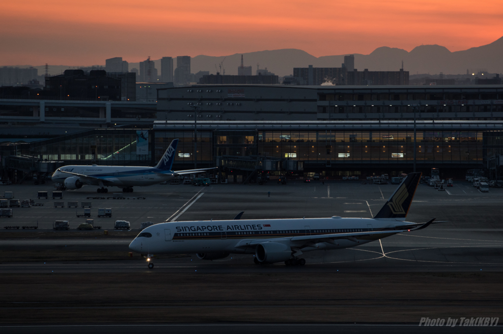 シンガポールA350