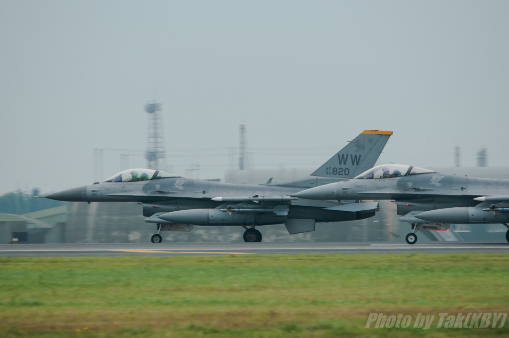 Wild Weasel