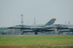 Wild Weasel