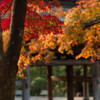 円覚寺～其の一