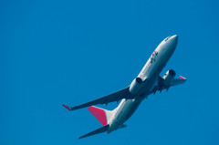 JAL 737-800