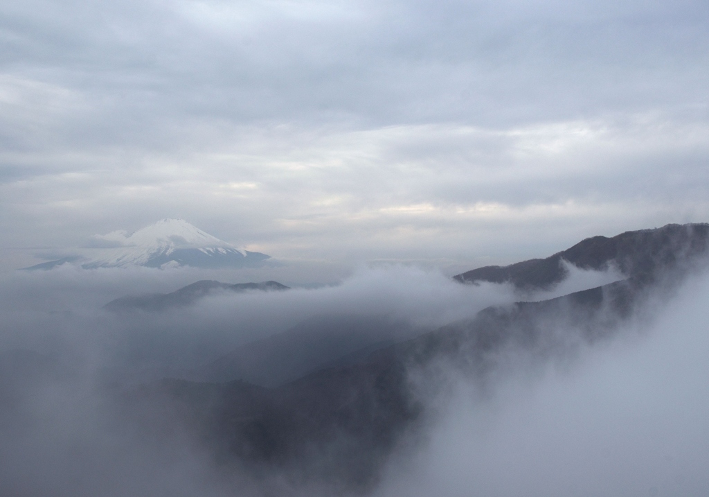 丹沢の稜線と富士