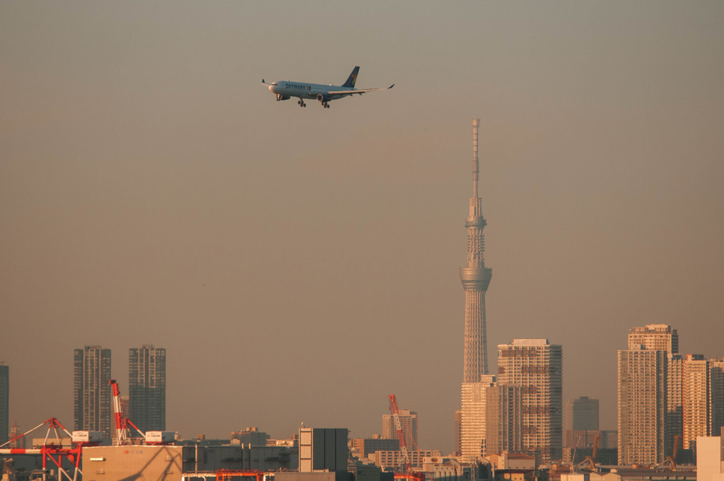 SKYTREE×A330