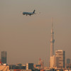 SKYTREE×A330