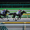 Gallop