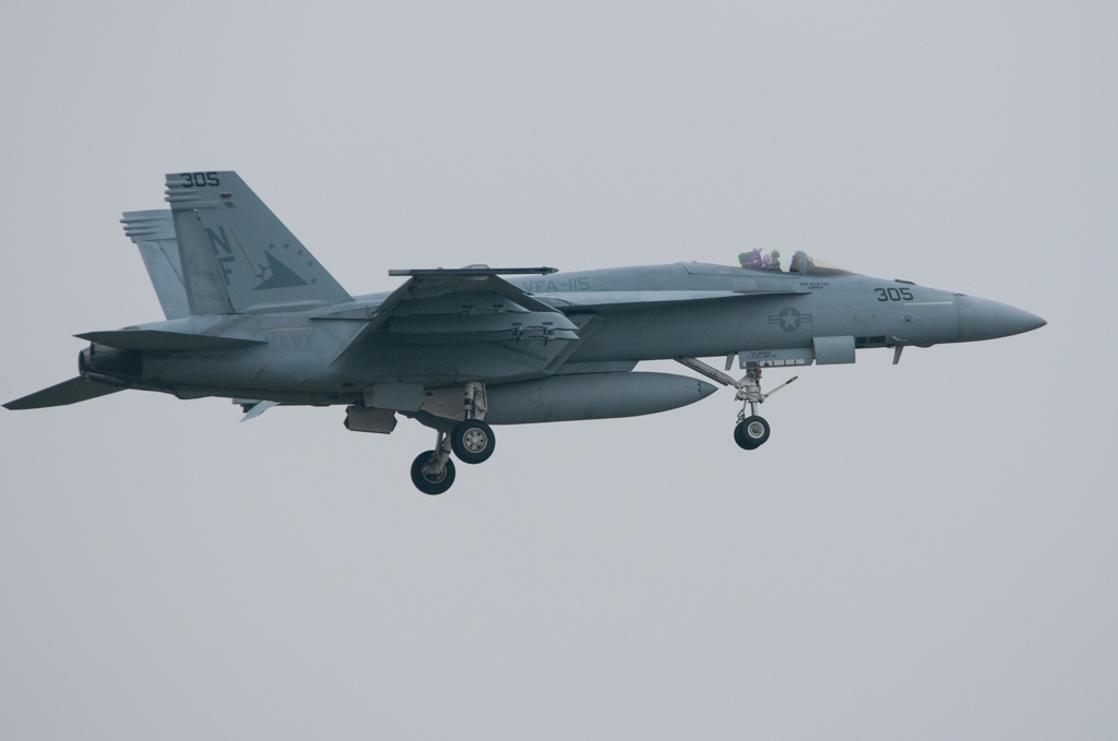 VFA-115 Eagles NF-305