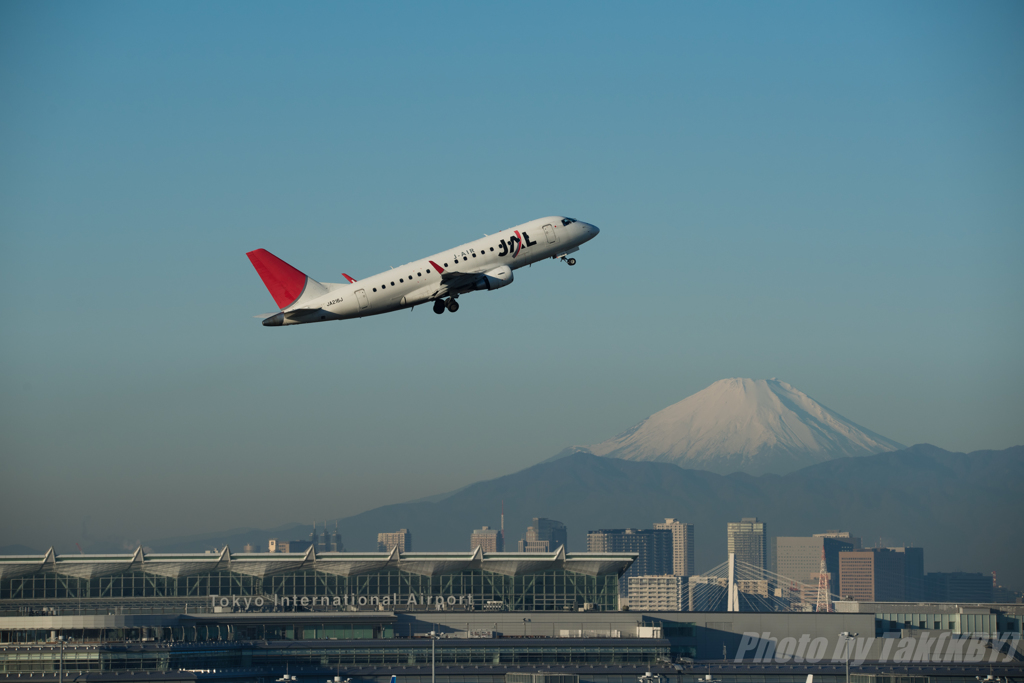 Hummingbird Departure