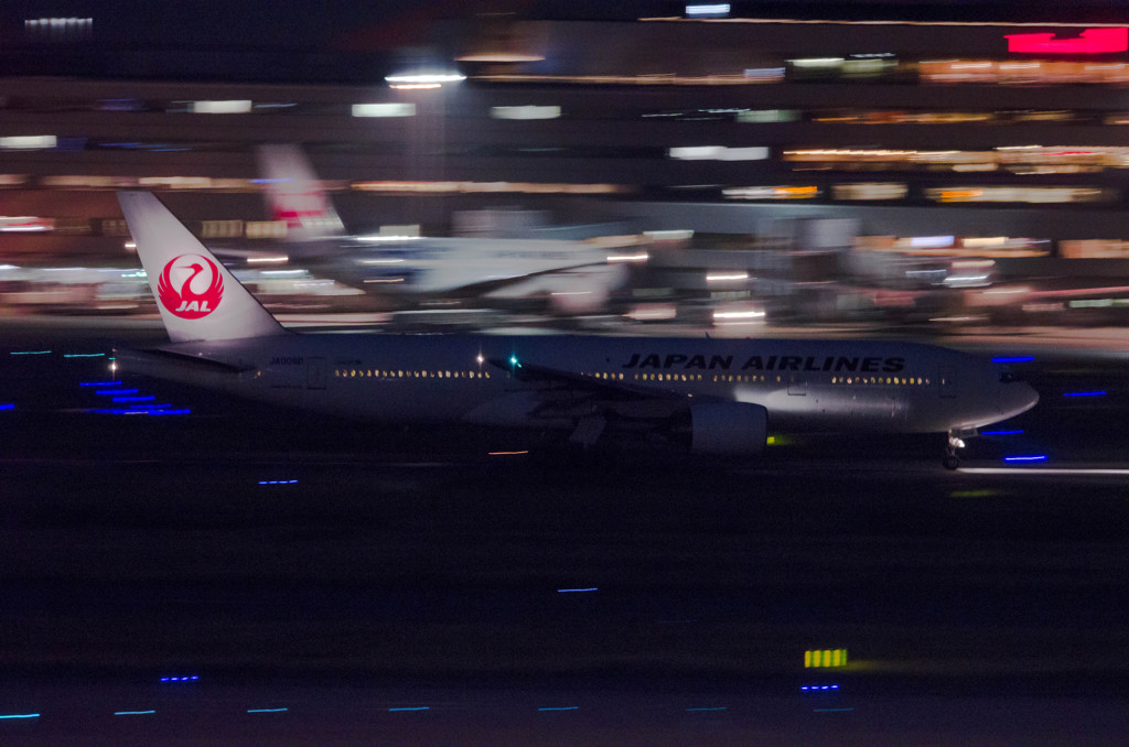 闇に浮かぶ鶴丸