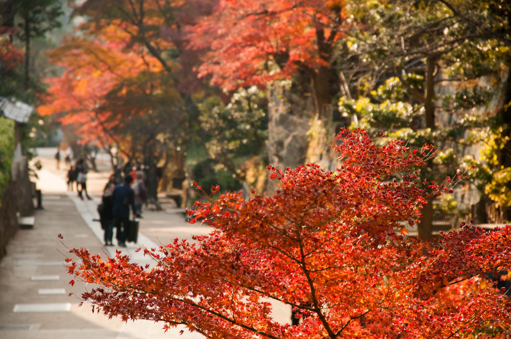 円覚寺～其の八