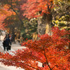 円覚寺～其の八