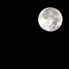 中秋の名月～Perfect Moon～