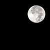 中秋の名月～Perfect Moon～
