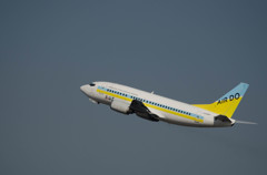AIR Do B737-500