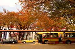 桜ヶ丘駅西口ロータリー